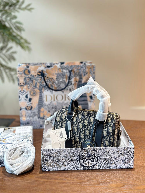 Dior Groove Bag