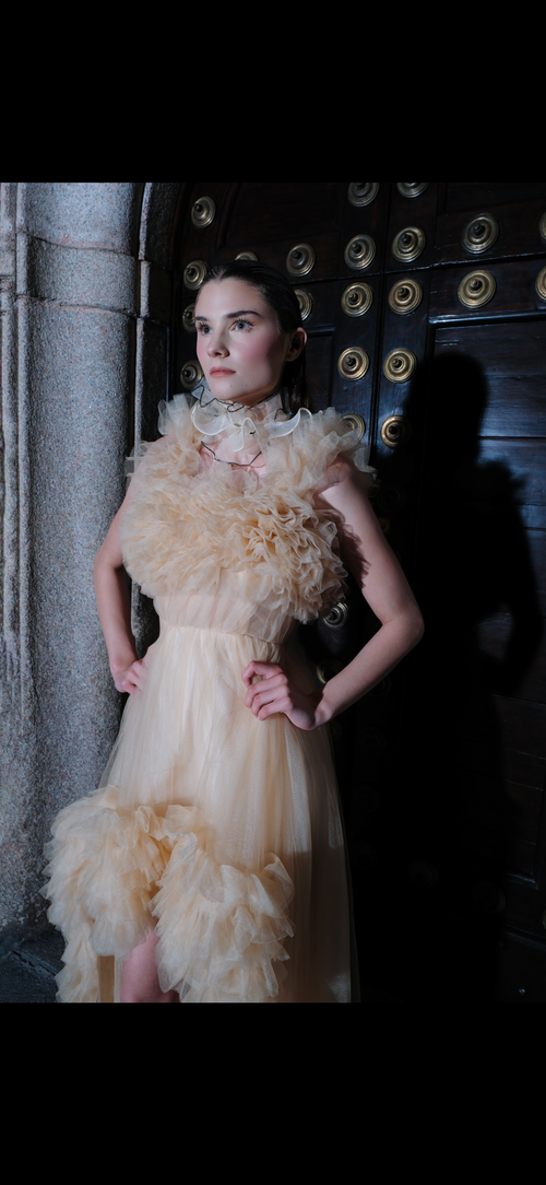 Puissance Sculptée FW27 – Lumière Impériale Ruffled High-Low Couture Gown