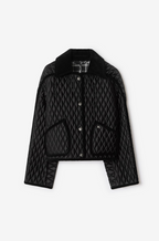 Burberry Quilted Velvet-Collar Jacket -Jet Black