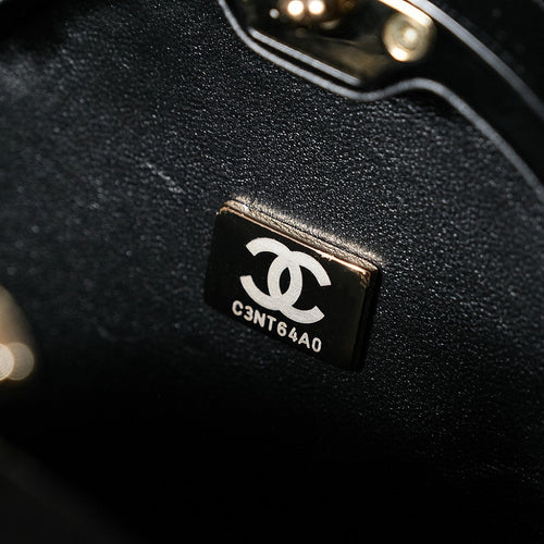 Chanel Cruise Mini Bag