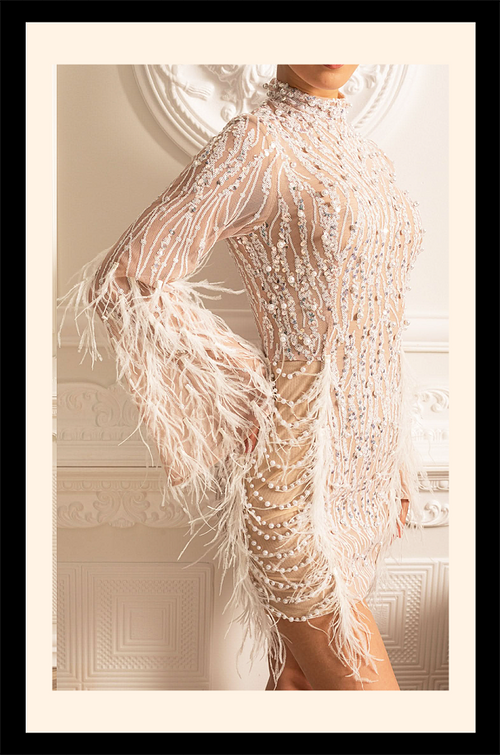 “Nuit de Cristal” Beaded Feathered Illusion Mini Dress – Velour de Luxe Award Couture