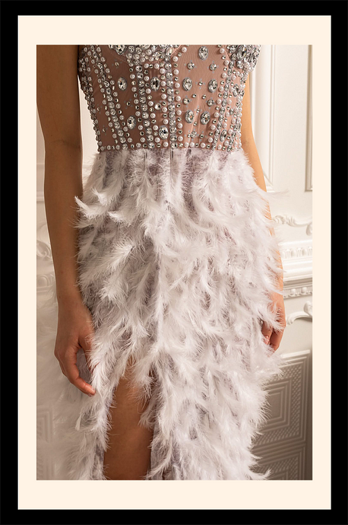 Cygne d’Argent Gown