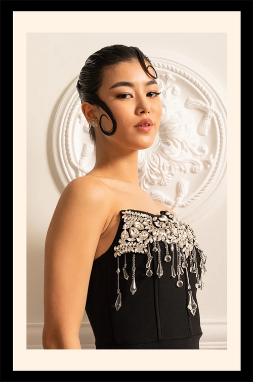 “Astrella Noire” Crystal Embellished Column Gown
