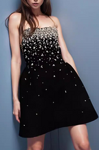'Vesperine' Strapless Crystalized Dress