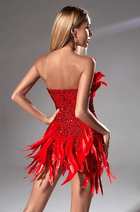 Maikai Luxe Feathered Mini Dress