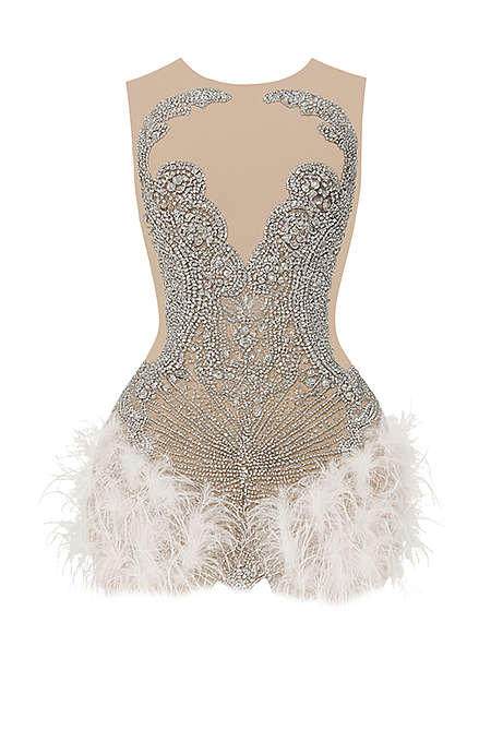 Winter Swan Radiance” Crystal & Feather Embellished Illusion Mini Dress