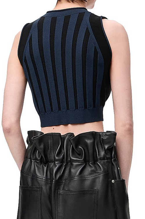 Loewe Striped Knit Cropped Top