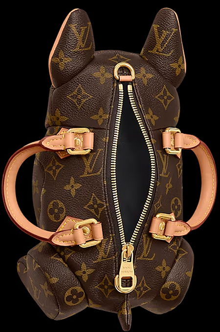 LV Pooch Bag