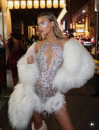 Winter Swan Radiance” Crystal & Feather Embellished Illusion Mini Dress
