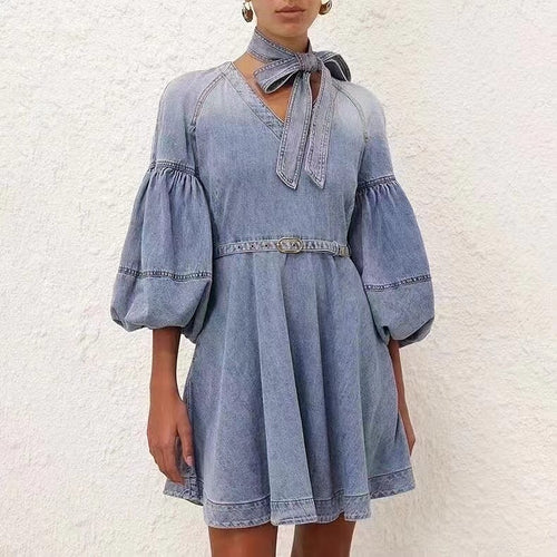 'Seraphine Silhouette' Denim Dress
