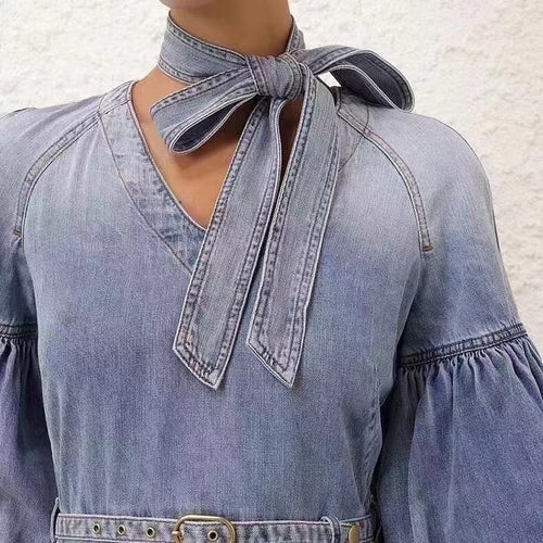'Seraphine Silhouette' Denim Dress