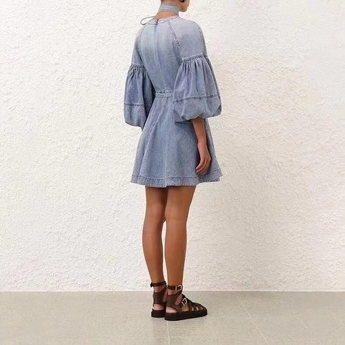 'Seraphine Silhouette' Denim Dress