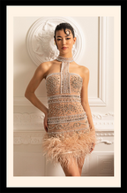 Éclat du Cygne Dress