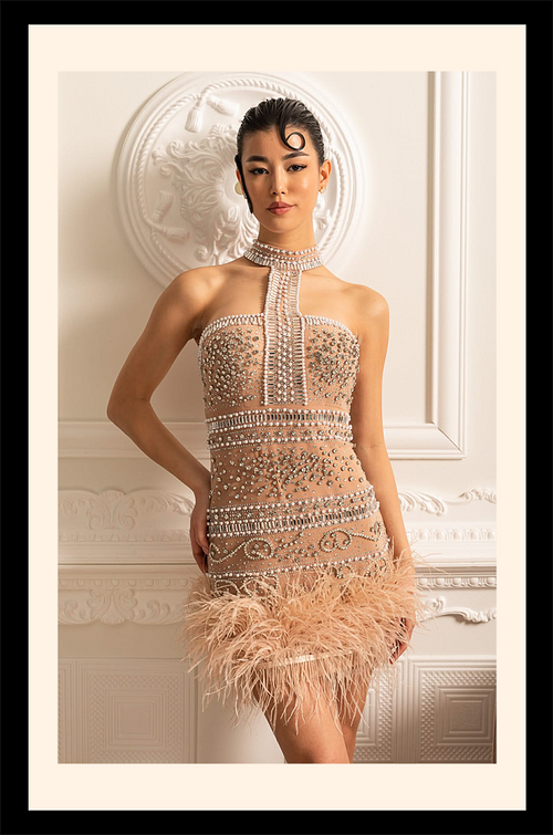 Éclat du Cygne Dress