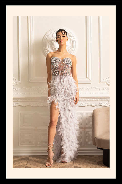 Cygne d’Argent Gown