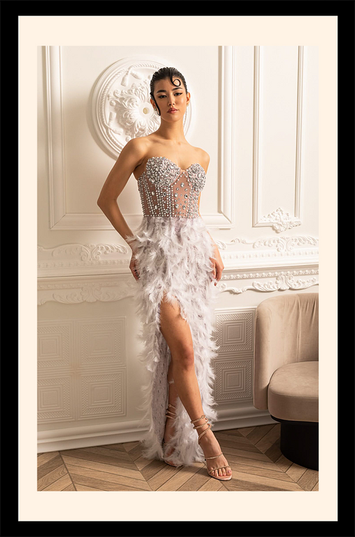 Cygne d’Argent Gown