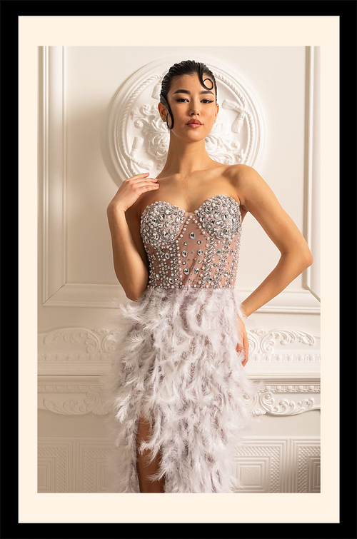 Cygne d’Argent Gown