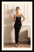 “Astrella Noire” Crystal Embellished Column Gown