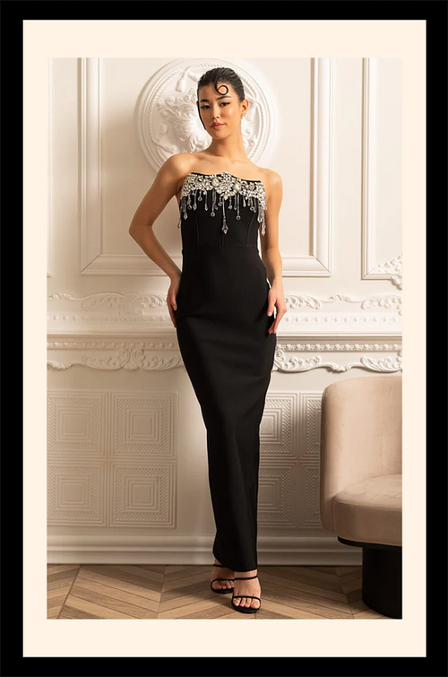 “Astrella Noire” Crystal Embellished Column Gown