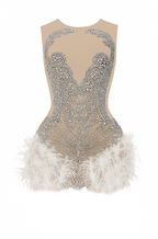 Winter Swan Radiance” Crystal & Feather Embellished Illusion Mini Dress