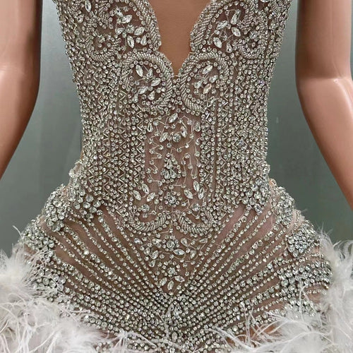 Winter Swan Radiance” Crystal & Feather Embellished Illusion Mini Dress