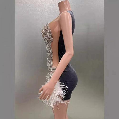 Winter Swan Radiance” Crystal & Feather Embellished Illusion Mini Dress