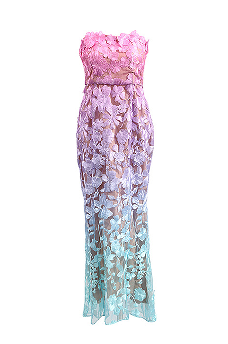 Blush Élysée Ombré Lace Gown