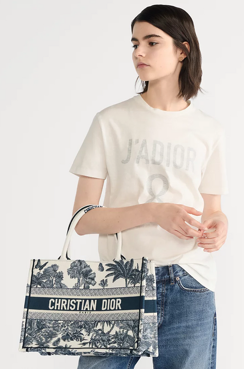Christian Dior Book Tote – Medium Toile de Jouy Embroidery (Blue)