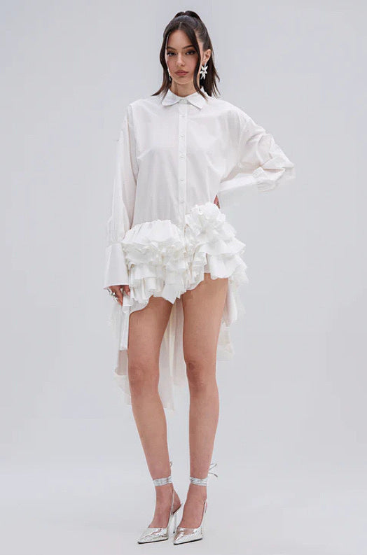 IMG_0416.jpg Écume Blanche Ruffle Hem Shirt Dress - Image 1