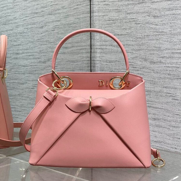 Dior Cigale Bag