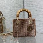 Mini Dior Crystal Bag