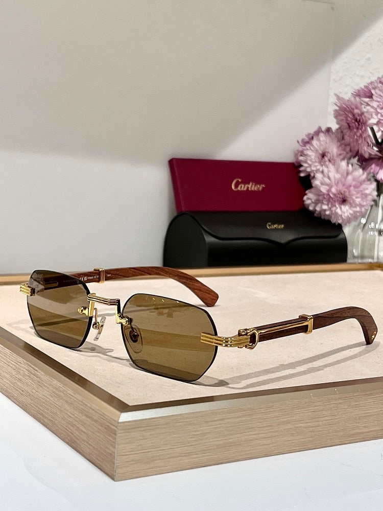 IMG_6405.jpg Cartier Santos de Cartier Rimless Sunglasses – Prestige Edition - Image 1