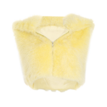 Canary Luxe Faux Fur Cropped Vest