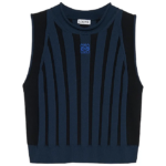 Loewe Striped Knit Cropped Top