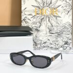 DIOR Oval CD Signature Sunglasses