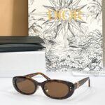 DIOR Oval CD Signature Sunglasses