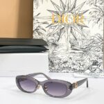 DIOR Oval CD Signature Sunglasses
