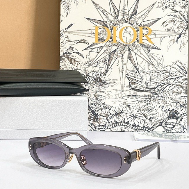 IMG_8731 DIOR Oval CD Signature Sunglasses - Image 1